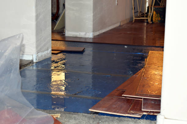 Professional Water Damage Restoration technician working in Hickman, NE